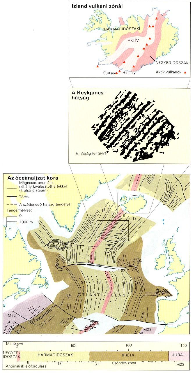 Paleomágneses bizonyítékok Kontinensek pólusvándorlási görbéi (1950-es, 60-as évek): a kontinensek eltérően mozogtak A