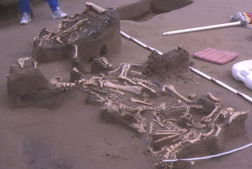 3. ábra Szarmata korú leletek a futóhomokkal fedett talajban Kecskeméttől ÉNy-ra a Ballószögnél végzett régészeti lelőhely feltárása is hozott újabb eredményeket.