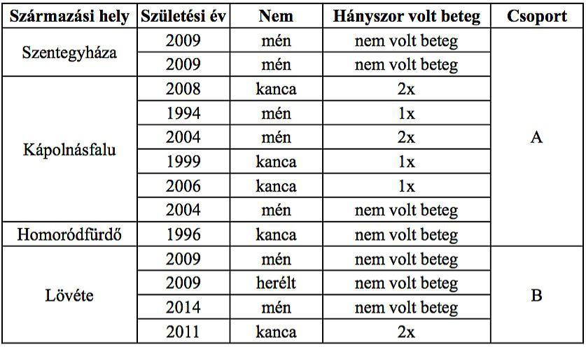 Azan-festést annak érdekében végeztettünk, hogy kiderítsük volt-e az izmokban korábban gyulladás, trauma vagy idült regresszív elváltozás, ugyanis a festék az ezekre a folyamatokra jellemző