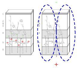 toth.denes@ttk.mta.hu Tóth Dénes AZ -ELEMZÉS ALAPJAI Felhasznált anyagok: Luck, S. J. (2005): An introduction to the event-related potential technique Handy, T. C.