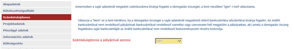 Számlatulajdonos adatainak kitöltése NEA pályázatok esetében a pályázó