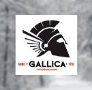 Gallica Premium Pils (0,33 l) 990,-Ft 5% pils Világos aranyszínű, kristálytiszta sör nagy, fehér habbal. Alapvetően malátás ízvilága enyhe, friss komlóaromával párosul.