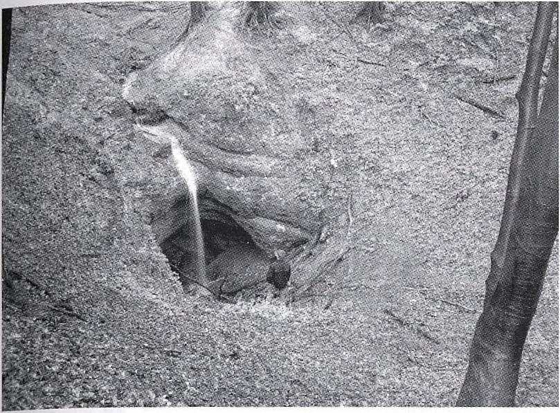 A Baglyas-víznyelőben csak a bejárati omladékos részt sikerült feltárniuk, míg a Macska-lik korábban ismert barlangjából a folytatást nem tudták elérni.