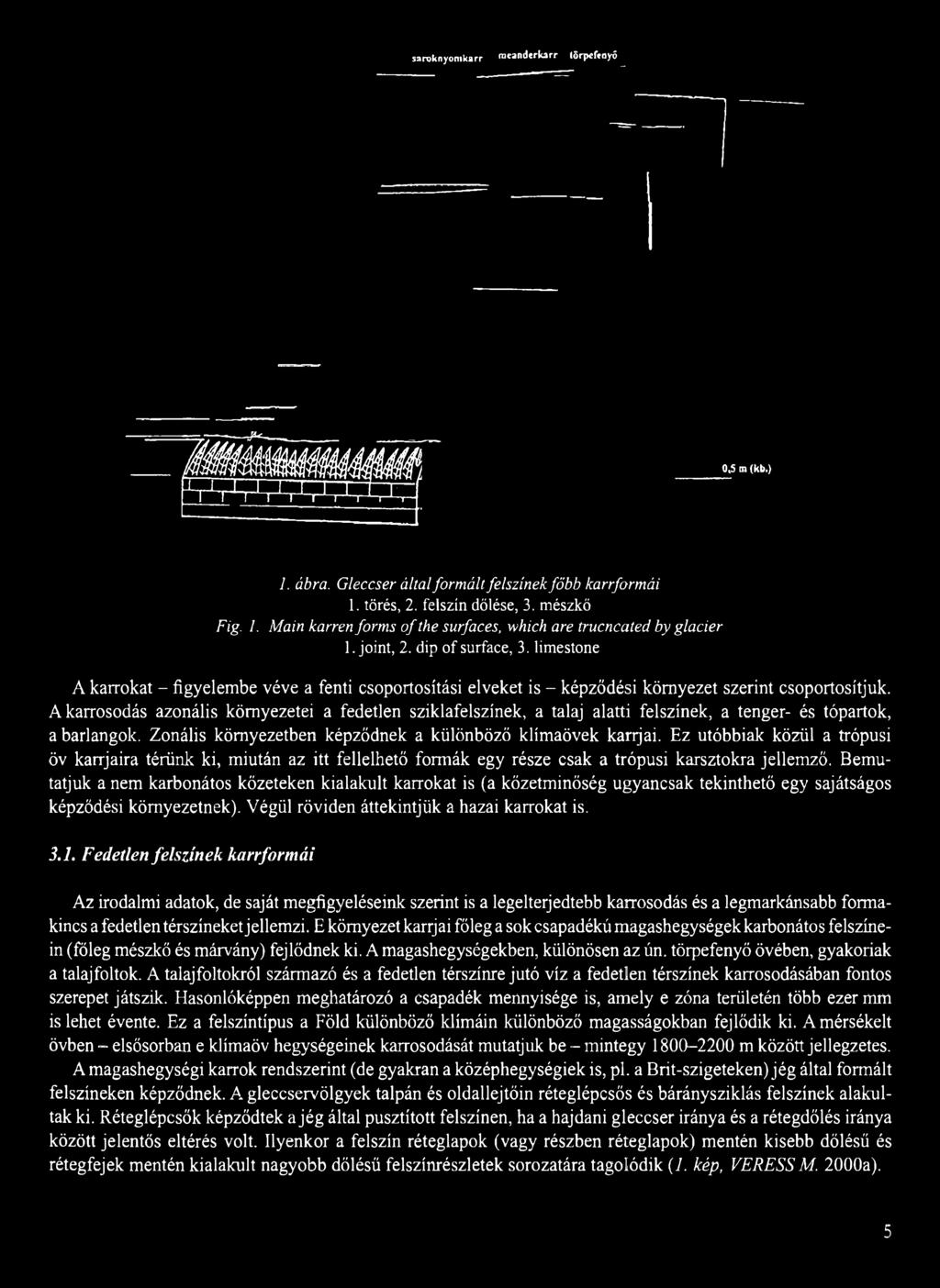 saroknyonikarr meanjerkarr Brpefmyö^ m lé 4»Üm m V A W ^; 0,5 m (kb.) I. ábra. Gleccser által formált felszínek főbb karrformái 1. törés, 2. felszín dőlése, 3. mészkő Fig. 1. Main karren forms of the surfaces, which are trucncated by glacier 1.