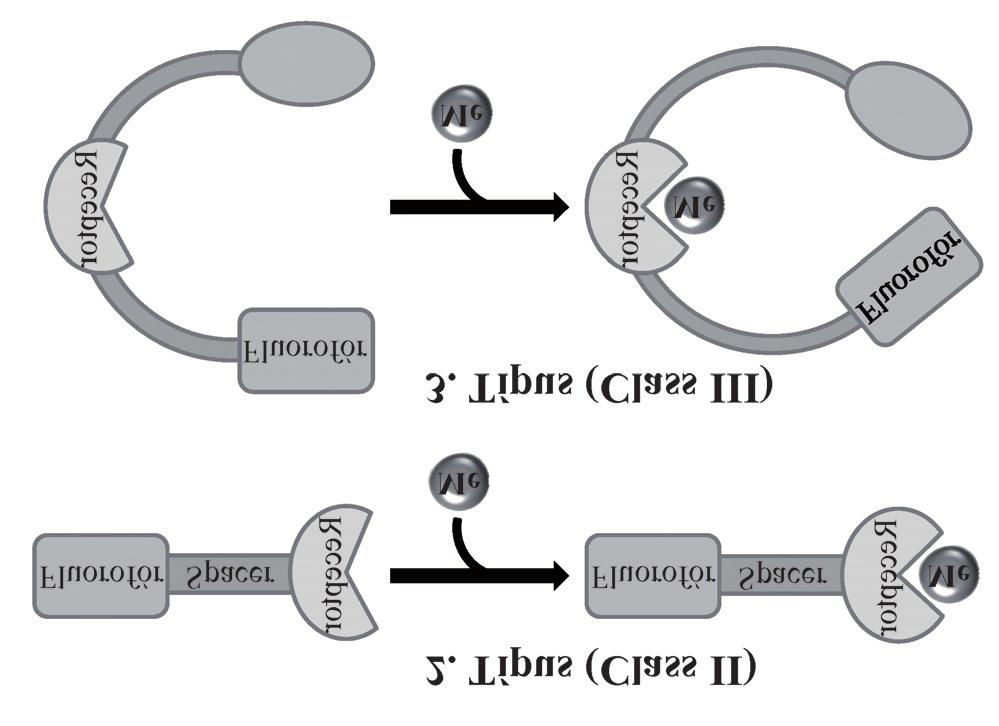 Magyar Kémiai Folyóirat - Elõadások 63 DOI: 10.24100/MKF.2017.02.