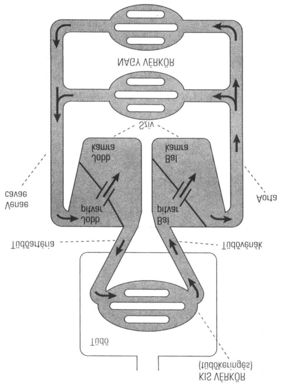 1. fejezet 1.4. fluktuációk az emberi szív- és érrendszerben 1.7. ábra. A vérkörök. Forrás: [49] 1.8. ábra. A szív fölépítése. Forrás: [49] elő.