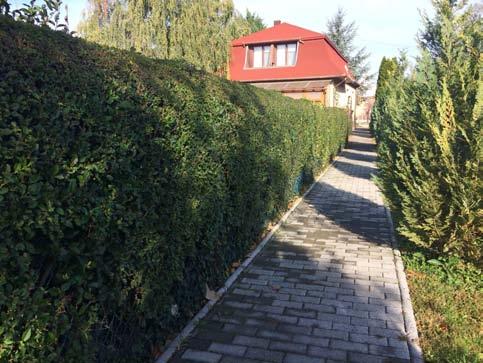 A meglévő fás növényállomány megőrzendő mind a közterületeken, mind a magánkertekben.