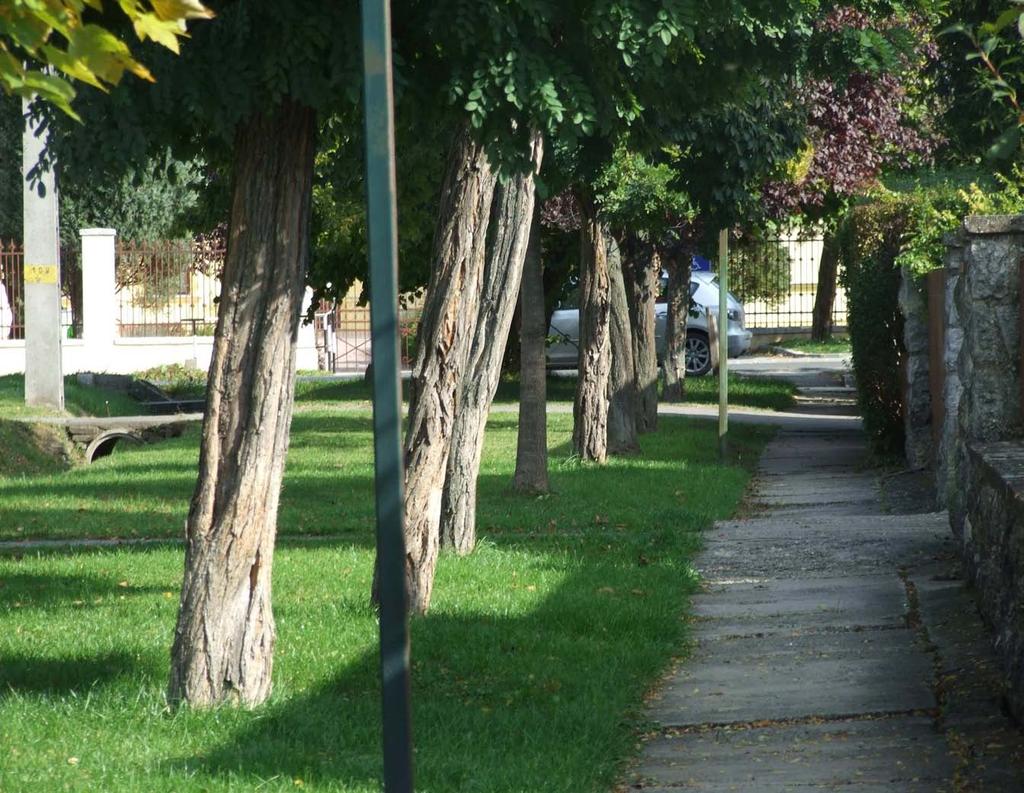 előkertes, oldalhatáron álló