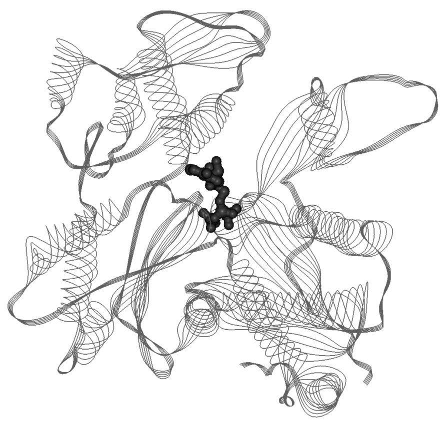 1. ábra: A globuláris aktin molekula szalagdiagramja. Középen a nukleotidkötő zseb, a kötött ATP molekulával (gömb modell). PDB kód: (Chesarone and Goode 2009)1NWK. (Orban et al. 2008).