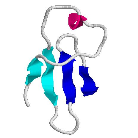 aszpartát transzkarbamoiláz enzim C N
