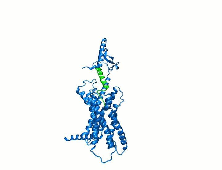 Fehérjék: tartalomjegyzék 1) Bevezető 2) A fehérjék szerkezeti hierarchiája: - elsődleges szerkezet (aminosav sorrend) - másodlagos szerkezet (a-hélix, b-redő, stb.