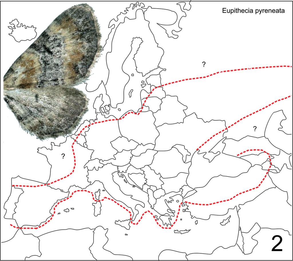 148 Natura Somogyiensis 2. ábra: Az Eupithecia pyreneata elterjedése Európában Ázsiában, Kelet-Európában és Észak-Afrikában diszperz.