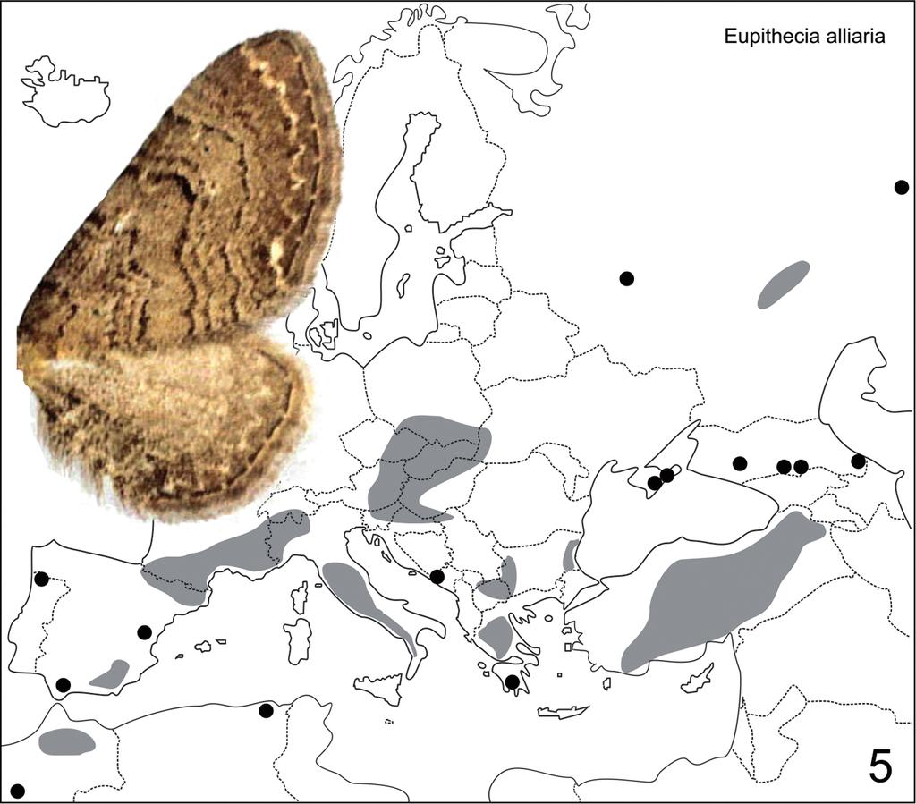 152 Natura Somogyiensis 5. ábra: Az Eupithecia alliaria elterjedése Európában faunaelemnek írták le (Varga et al. 2004). Az előbbieket a chorológiai vizsgálatok cáfolják (vö. Mironov 2003).