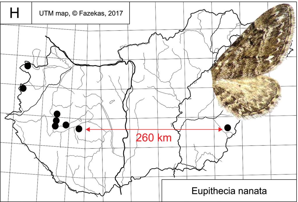 158 Natura Somogyiensis sokban, szórványosan erdős-sztyep maradványokban, homoki gyepekben gyűjtötték. Az Alpokban és Balkánon 2000-2500 m-es magasságig felhatoló euryök, polifág faj. 30.