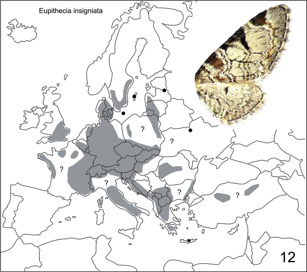 Fazekas I: Magyar Eupitheciini tanulmányok 5. 161 37. Eupithecia centaureata (Denis & Schiffermüller, 1775) (= oblongata (Thunberg, 1784) Megvizsgált anyag: 2 Kölked 1991.VI.18. ÁL.