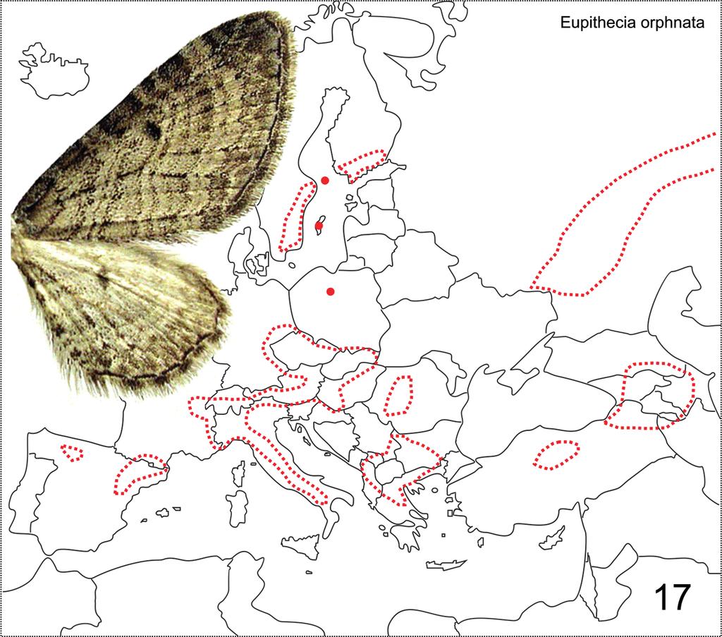 Fazekas I: Magyar Eupitheciini tanulmányok 5. 171 17. ábra: Az Eupithecia orphnata elterjedése Európában Jegyzet: Holarktikus, polifág, euryök faj.
