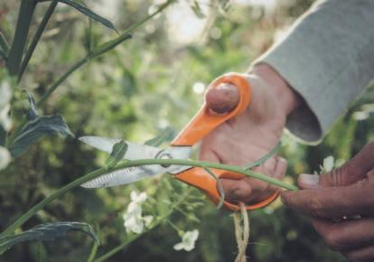 Szépségápolás Az Ön Fiskars partnere Fiskars