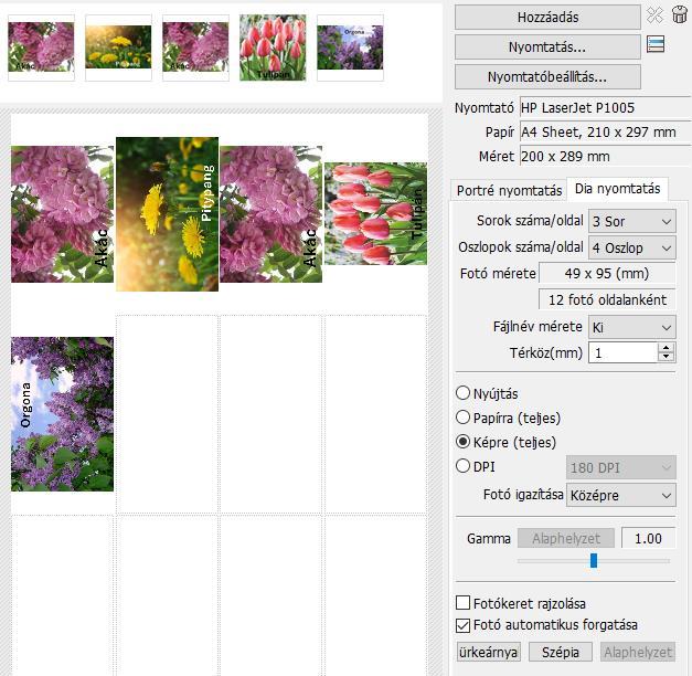 4. Nyomtatás A Nyomtatás funkció akkor a leghasznosabb, ha több képet szeretnénk egy lapra nyomtatni valamilyen foglalkozáshoz (csoportosítás, kiválogatás, stb.).