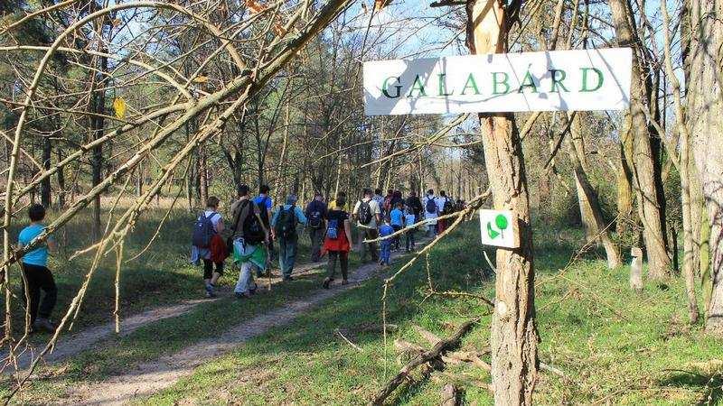 PÁLYÁZAT Fotópályázat E-tanösvényeink látogatói részére A táblás és nyomtatott vezetıfüzetes tanösvények mellett a Duna-Dráva Nemzeti Park Igazgatóság mőködési területén tíz, úgynevezett Etanösvény