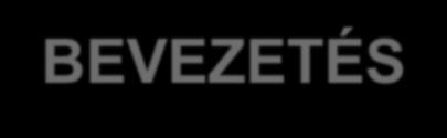 1. BEVEZETÉS A vasúti vonalhálózaton gyakori eset, hogy eltérő szerkezetű és rugalmasságú pályaszakaszokat kell egymáshoz