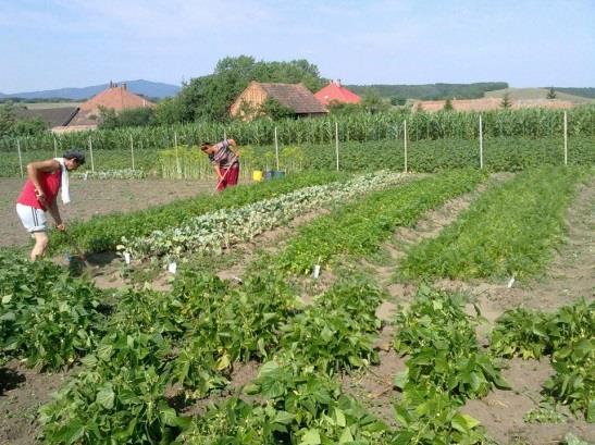 Magyar Tájdíj A Magyar Tájdíj az Európa Tanács Táj