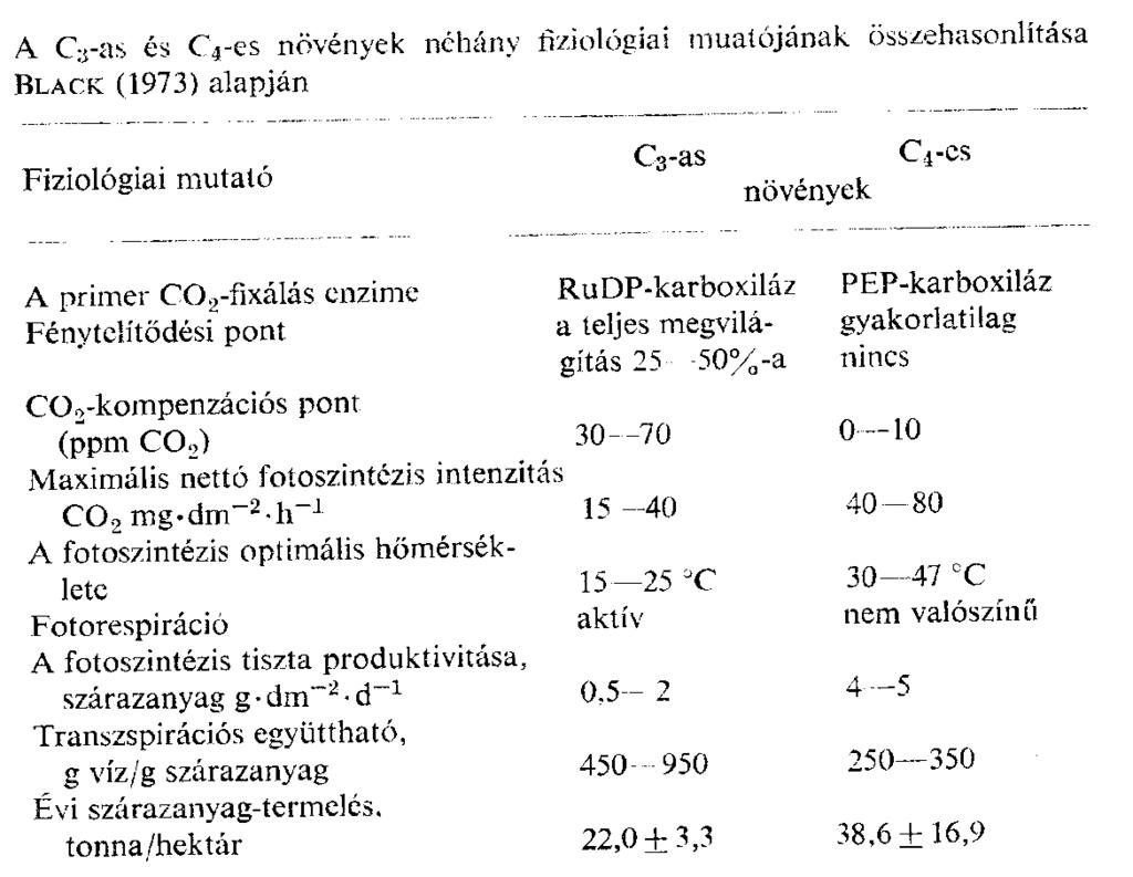 a fény és sötét szakasznak