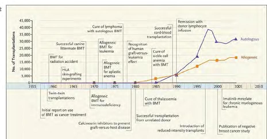 Az őssejtátültetés fejlődésének idővonala
