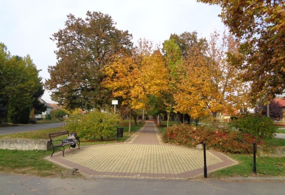 49 A Béke-téren a világháborús hősöknek állítottak