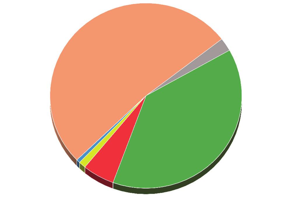 A teljes ügyérkezés megoszlása a bírósági szintek között 2017-ben 2,3% Járásbíróságok 51,7% Közigazgatási és munkaügyi bíróságok Törvényszék első fok Törvényszék másodfok 38,7% Ítélőtáblák Kúria 0,6%