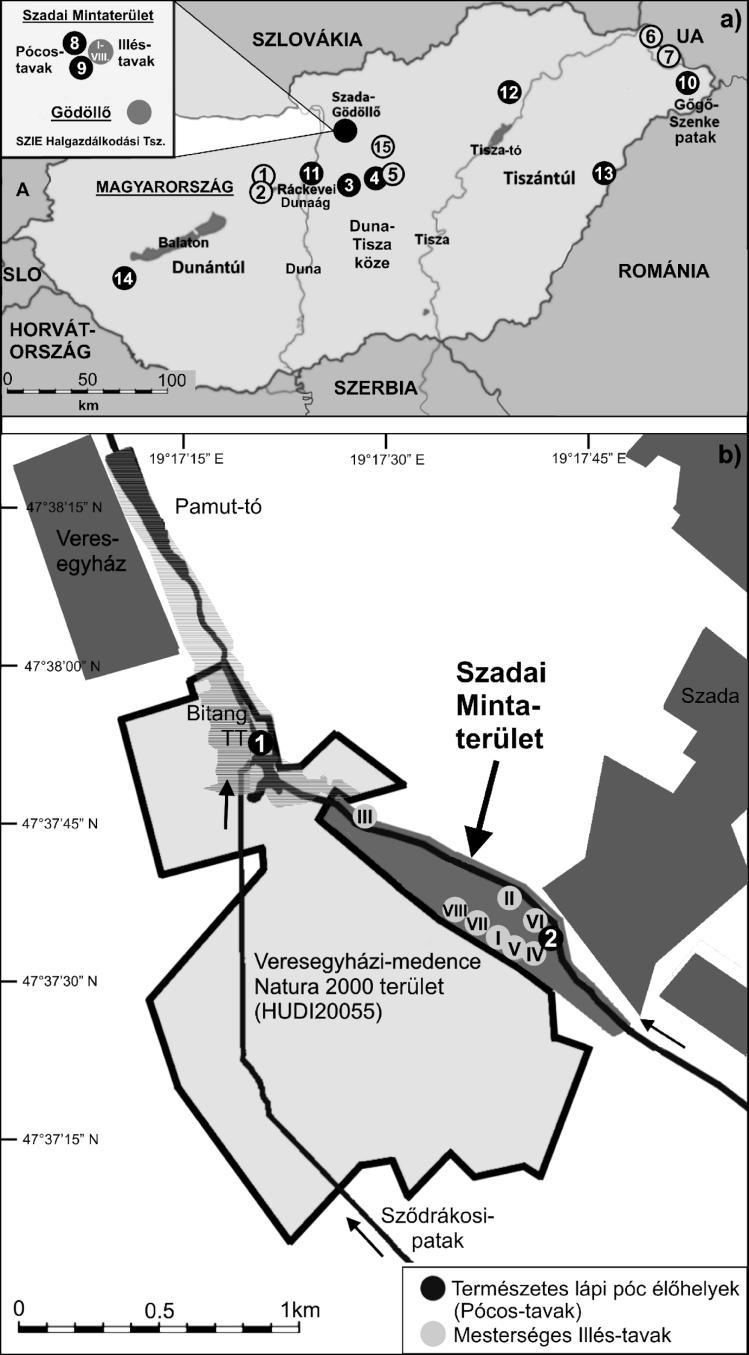 1a. ábra. A vizsgált recens (teli körök) és egykori lápi póc élőhelyek (üres körök) elhelyezkedése Magyarországon. Élőhelyek: 1. Császárvíz felső szakasza, 2. Császárvíz alsó szakasza, 3.