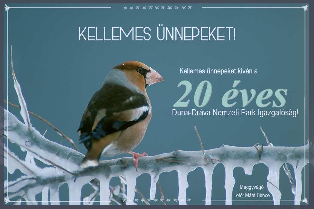 A Duna-Dráva Nemzeti Park Igazgatóság hírlevele 2016. december AKTUÁLIS Kellemes Ünnepeket! 2016 különleges esztendı volt számunkra.