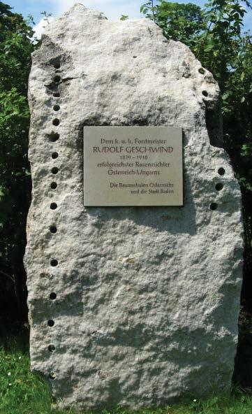 Lesnícku prax začínal ako lesný adjunkt (1938-1939) a v rokoch 1940-1945 ako lesný správca na veľkostatku Kúlháň.
