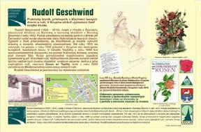 východného Slovenska. Od roku 1952 pôsobil na Lesníckej fakulte VŠLD vo Zvolene, kde od roku 1954 viedol katedru Pestovania lesa.