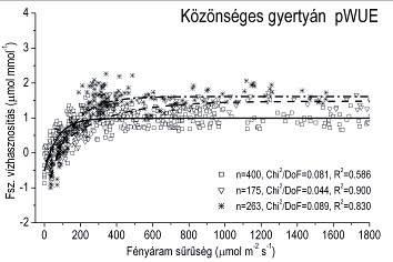 A fásszárú újulat ökofiziológiai válaszai cseres-tölgyes