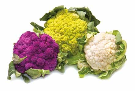 DIETĂ Nutriţie Conopida Îţi prezentăm o legumă bogată în vitamine și minerale, foarte săracă în calorii (conţine doar 24 calorii la 100 g), fiind perfectă pentru a fi consumată în diferite feluri și