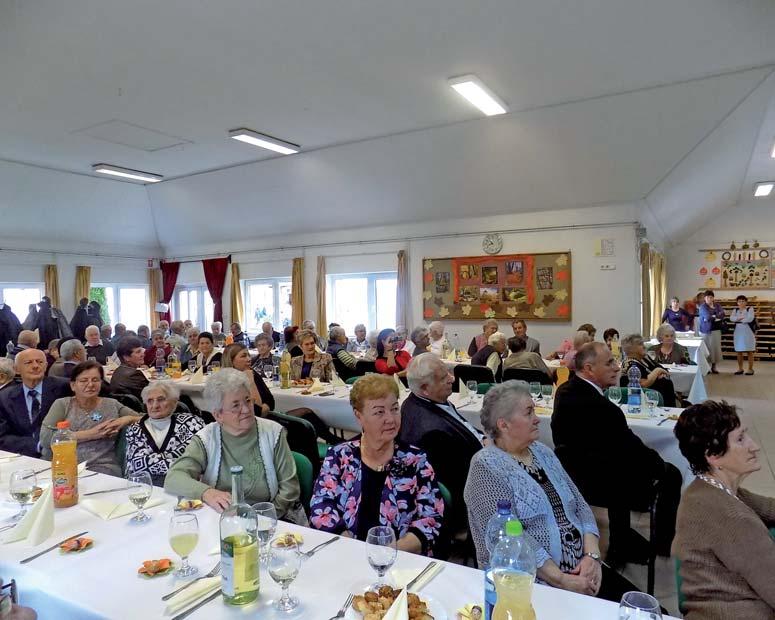 MÁRTON JÓNÁS, RENÁTÓ SZILVIA ALIZ ALBERT, LIPÓT ÖDÖN GERGŐ, HORTENZIA JENŐ ERZSÉBET