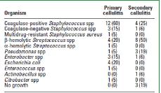 Lymphangitis, vasculitis és cellulitis: eltérések a prognózisban és a menedzsmentben Dr. Tóth Balázs, MS, Dipl.