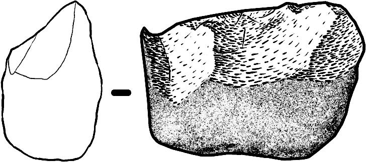 Paleo-etológia : H. habilis Szabad kézhasználat: Első eszközhasználatra utaló maradvány Magkövek és szilánkok 3 millió éves hasított kavics (Etiópia), többszörös hasítások 2.
