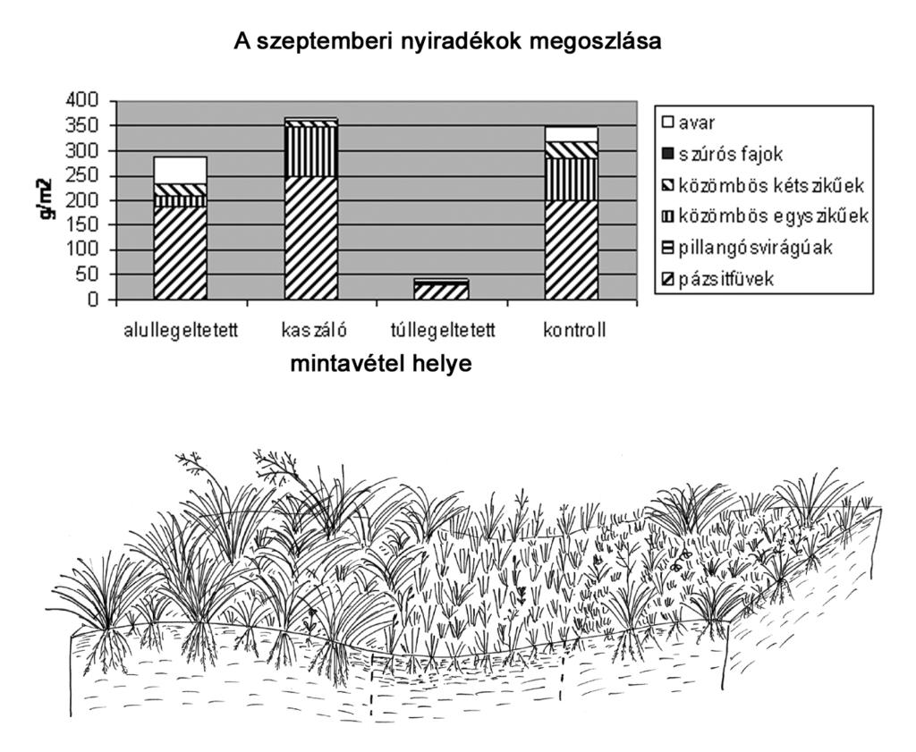 ábra A badacsonytördemici mintaterületek szárazanyag mennyisége és