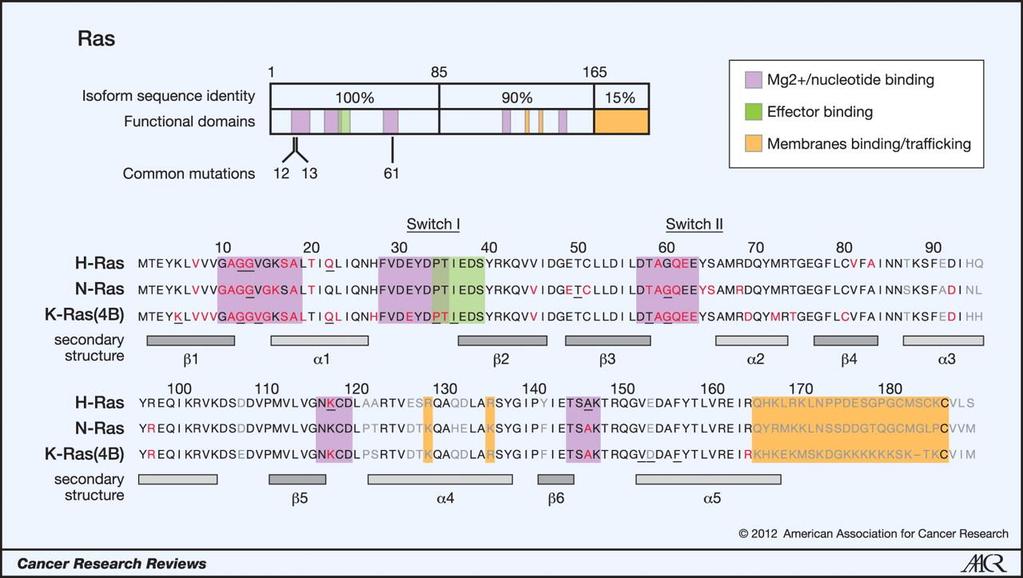 RAS Izoformák Cancer Res. 2012 May 15;72(10):2457-67. doi: 10.1158/0008-5472.CAN-11-2612.