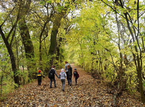 TANÖSVÉNYEK A Kiskunsági Nemzeti Park Igazgatóság tanösvényei színes információs táblákkal, rövid leírásokkal és magyarázó ábrákkal segítik egy-egy terület természeti és kultúrtörténeti értékeinek