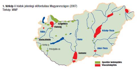 A hódok elterjedése, állomány növekedési jellemzője: Forrás: