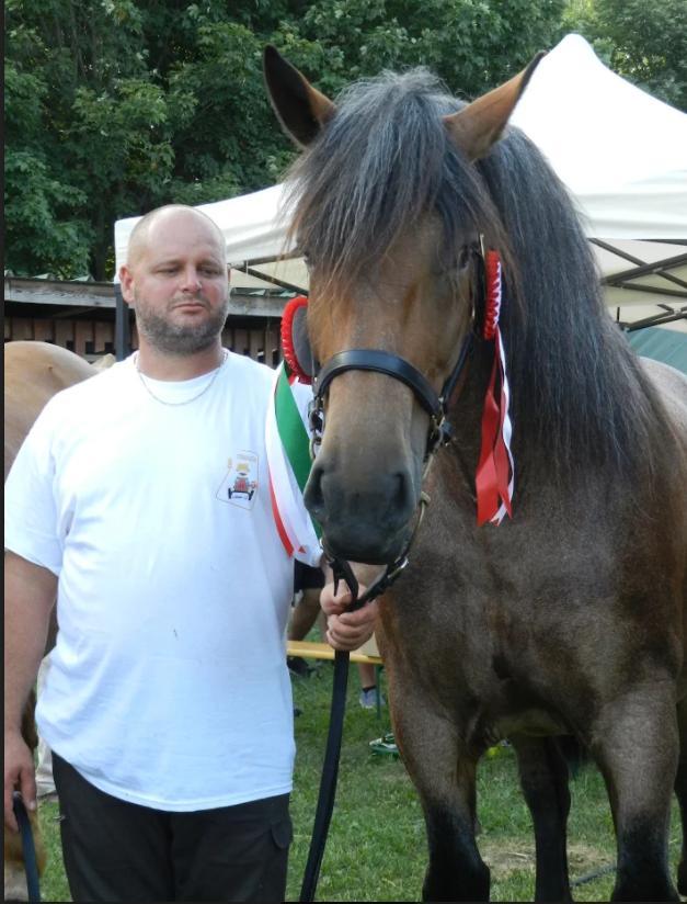 kancája a Szentlőrinci Gazdanapokon) Debrecenben az elmúlt évekhez képest a hidegvérű