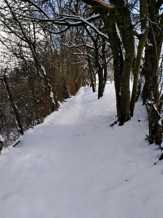 Látnivalók Télen a karácsonyi vásárok nagyon szépek, lehet enni,