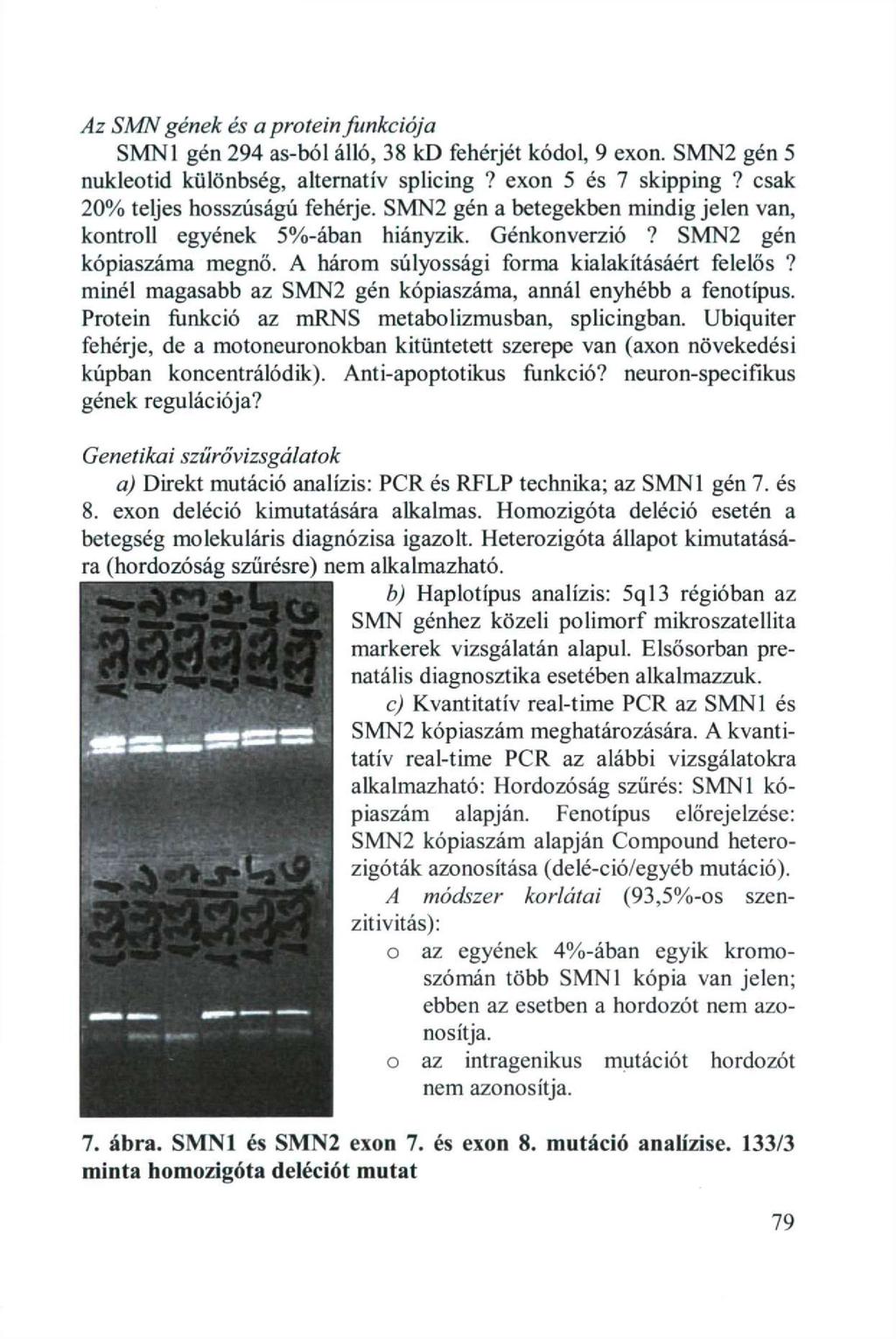 Az SMN gének és a prtein funkciója SMN1 gén 294 as-ból álló, 38 kd fehérjét kódl, 9 exn. SMN2 gén 5 nukletid különbség, alternatív splicing? exn 5 és 7 skipping? csak 20% teljes hsszúságú fehérje.