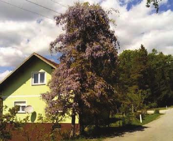 OTARJEE NOICE Sončna elektrarna na hiši Breznikovih v Malni občini Sveti Jurij v Slovenskih goricah se je že več lastnikov hiš odločilo, da bodo na strehi svoje domačije zgradili sončno elektrarno za