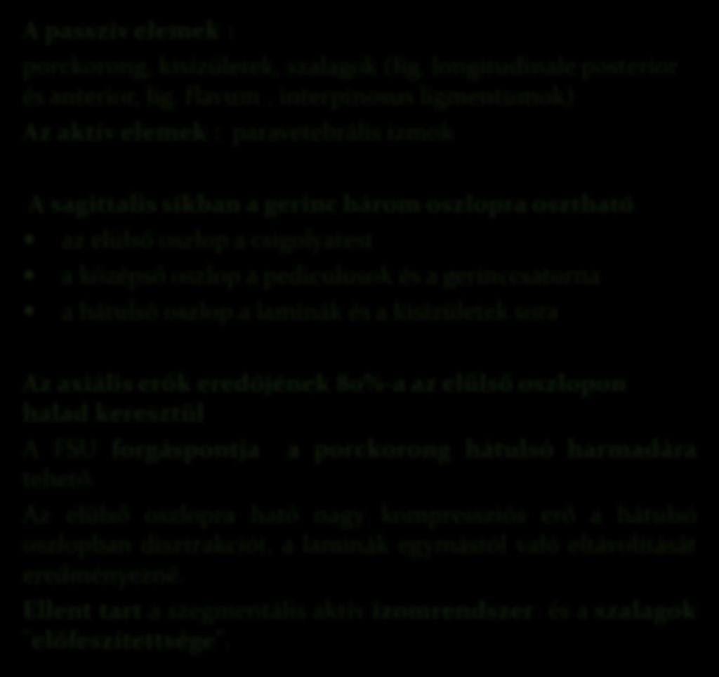 Mozgásszegmentum (functional spinal unit = FSU) Két szomszédos csigolya, és az azokat összekötő passzív és aktív elemek A passzív elemek : porckorong, kisízületek, szalagok (lig.