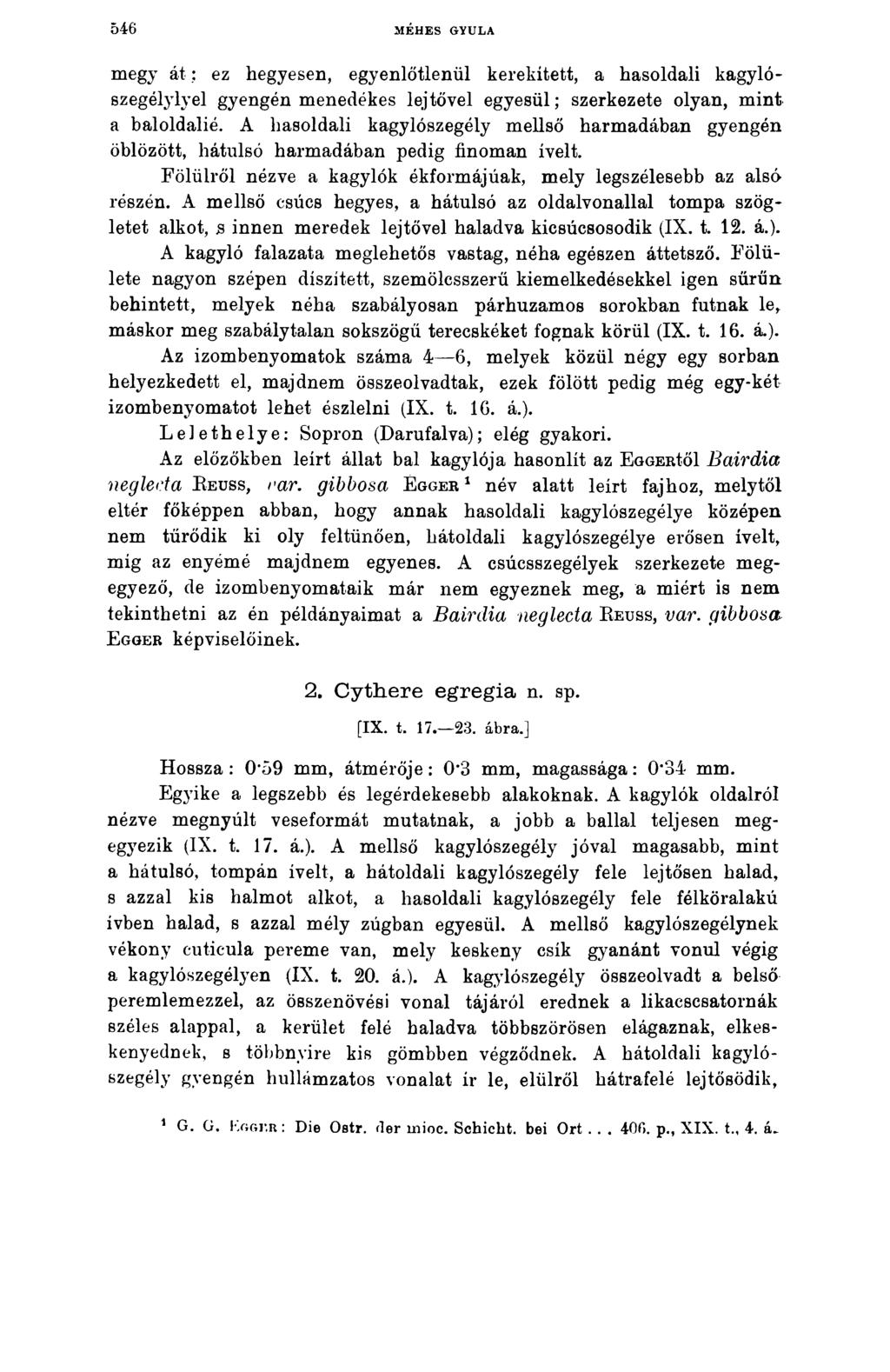 546 MÉHES GYULA megy á t: ez hegyesen, egyenlőtlenül kerekített, a hasoldali kagylószegélylyel gyengén menedékes lejtővel egyesül; szerkezete olyan, mint a baloldalié.