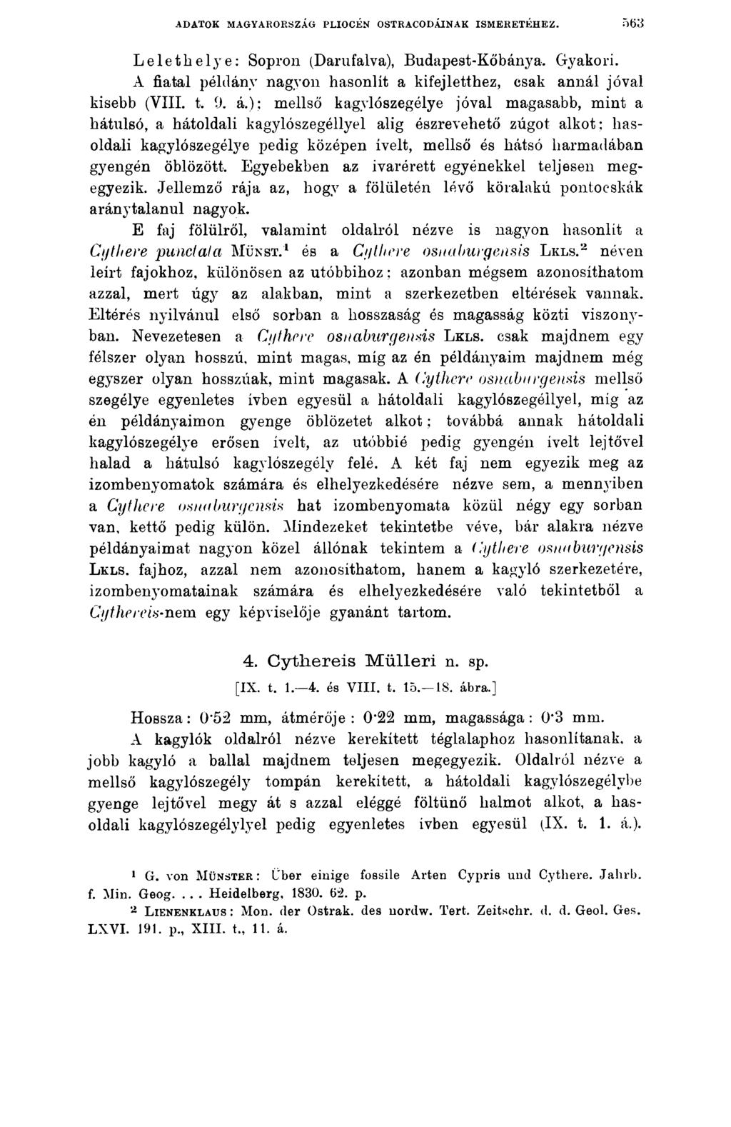 ADATOK MAGYARORSZÁG PLIOCÉN OSTRACODÁINAK ISMERETÉHEZ. 563 Lelethelye: Sopron (Darufalva), Budapest-Kőbánya. Gyakori. A fiatal példány nagyon hasonlít a kifejletthez, csak annál jóval kisebb (VIII. t.