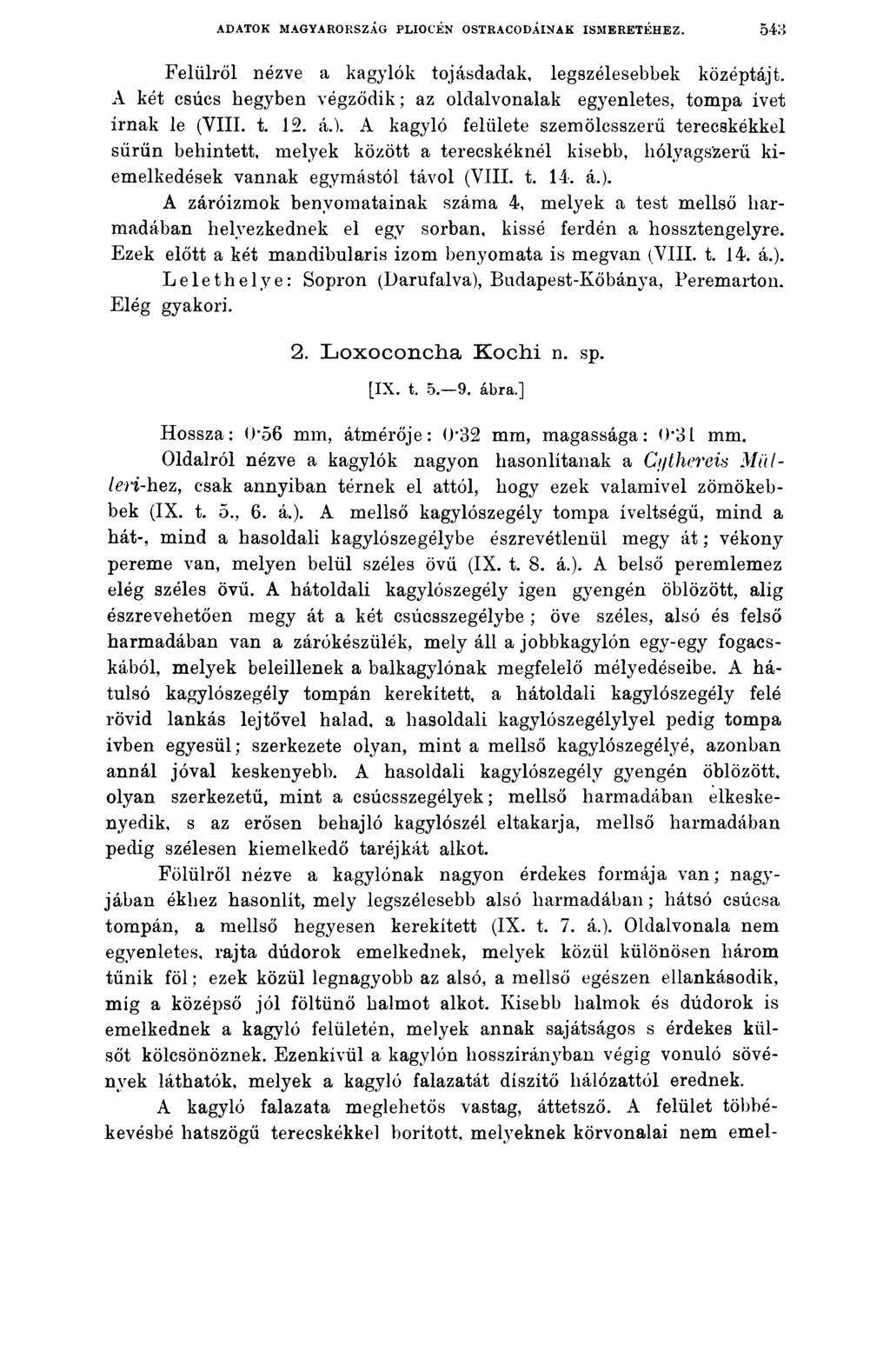 ADATOK MAGYARORSZÁG PLIOCÉN OSTRACODÁINAK ISMERETÉHEZ. 543 Felülről nézve a kagylók tojásdadak, legszélesebbek középtájt.